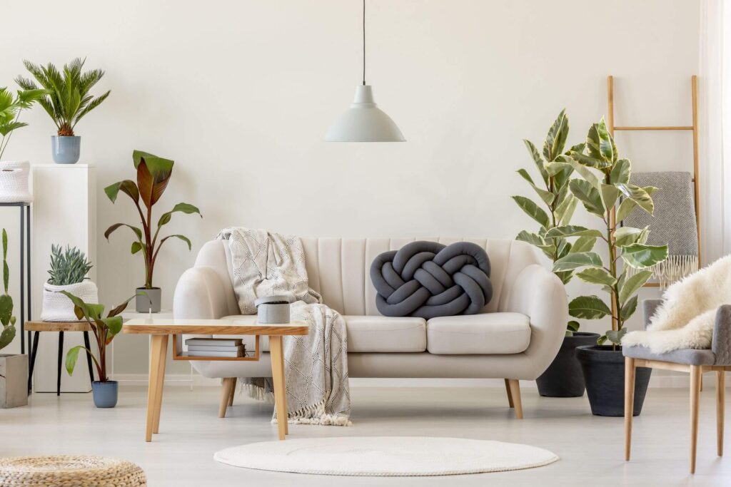 living room plants ideas