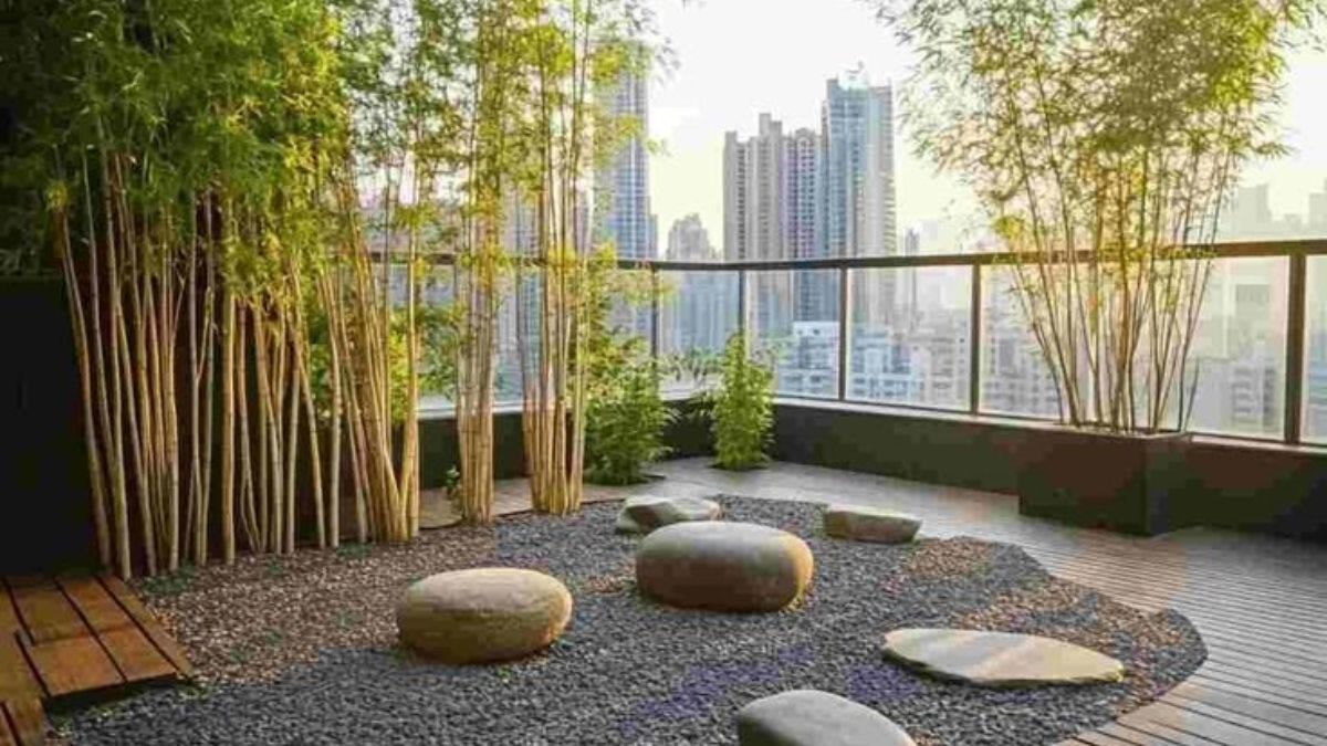 Terrace Design, Solar Lights, Pool, Rooftop, Trellis