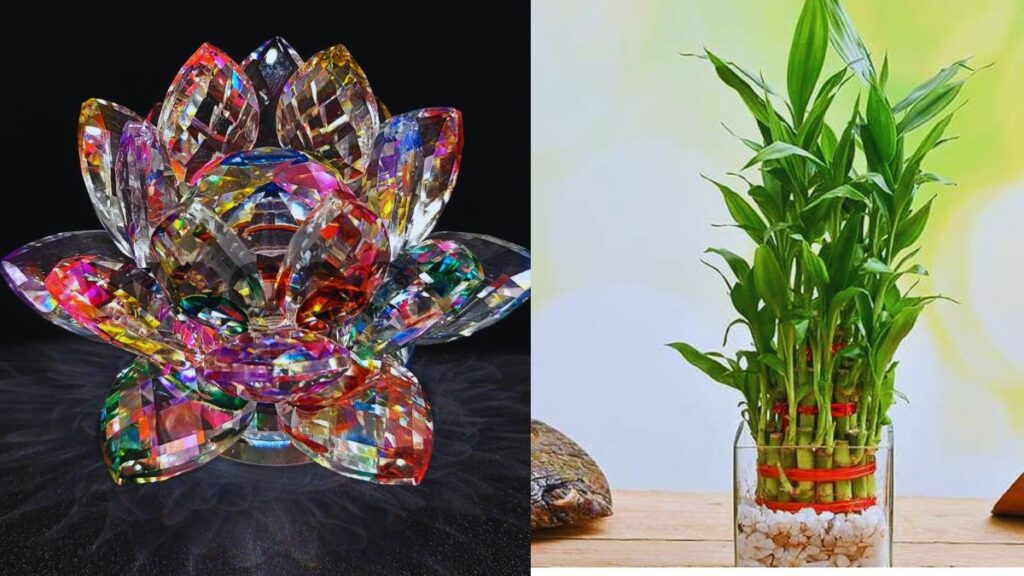 Feng Shui, Home decor, Lucky bamboo, lotus crystal, laughing buddha, monkey frog, wind chimes