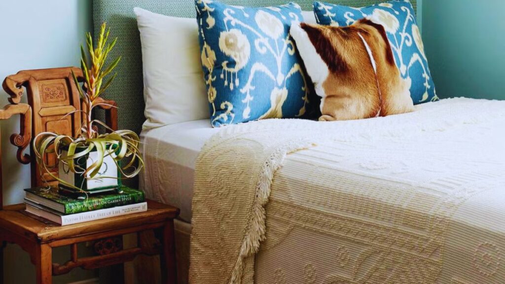 Light, Home Decor, Space, Small, Murphy Bed