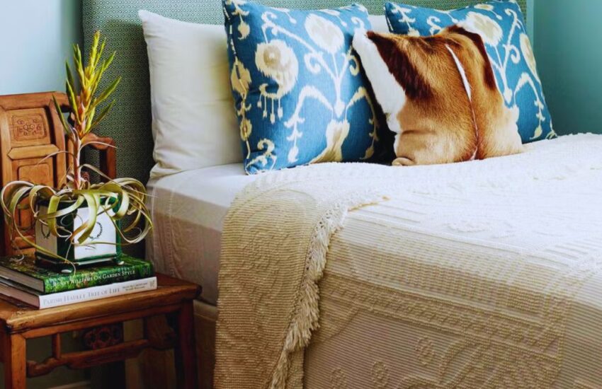Light, Home Decor, Space, Small, Murphy Bed
