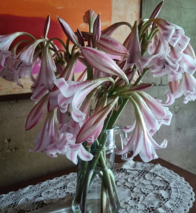 Plants, Exotic, Home Decor, Interiors, Design, Sensory Experience