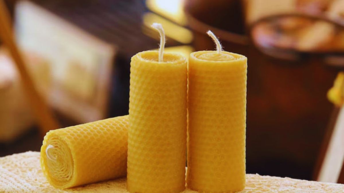 indoor air quality india, winter pollution india, natural air purifiers, home air purification tips, beeswax candles air quality, indoor plants for clean air, reduce VOCs at home, HEPA air purifier india, PM2.5 indoor solutions, clean air tips for winter, indoor pollution control, natural ways to clean indoor air, healthy home environment, smog season india tips